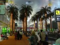 The airport in Dubai. Only a part of it...